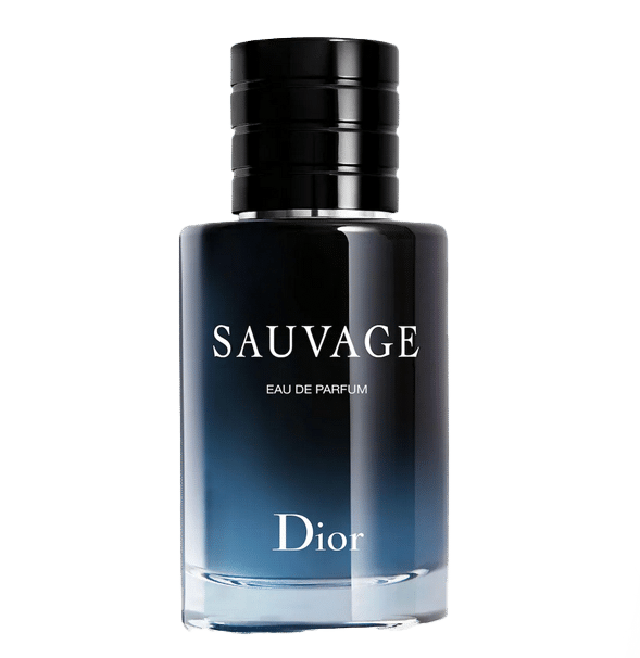 dior men banner