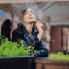 cheap smoke